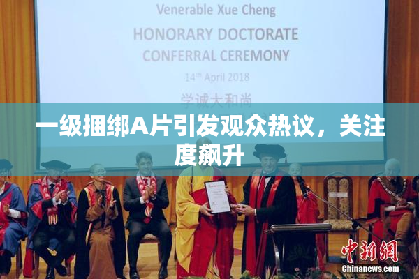 一级捆绑A片引发观众热议，关注度飙升
