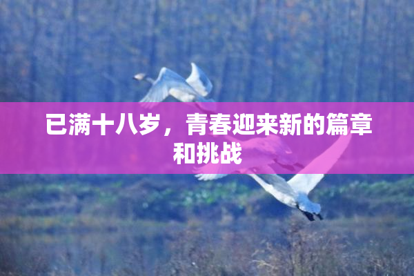 已满十八岁，青春迎来新的篇章和挑战