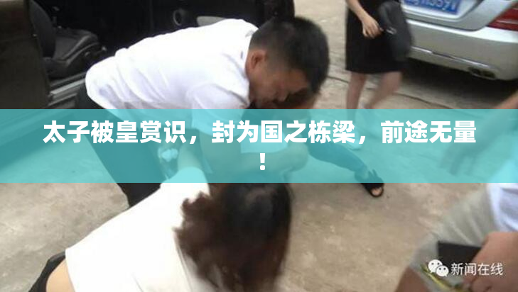 太子被皇赏识，封为国之栋梁，前途无量！