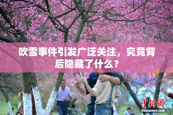 吹雪事件引发广泛关注，究竟背后隐藏了什么？