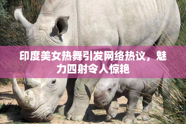 印度美女热舞引发网络热议，魅力四射令人惊艳