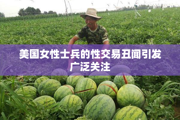 美国女性士兵的性交易丑闻引发广泛关注