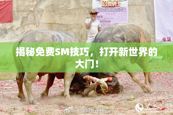 揭秘免费SM技巧，打开新世界的大门！