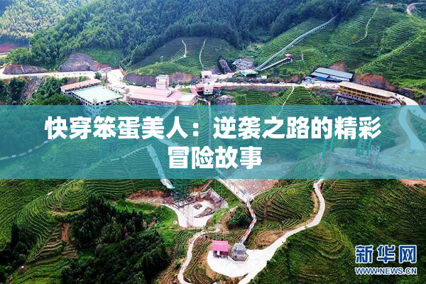 快穿笨蛋美人：逆袭之路的精彩冒险故事