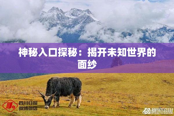 神秘入口探秘：揭开未知世界的面纱
