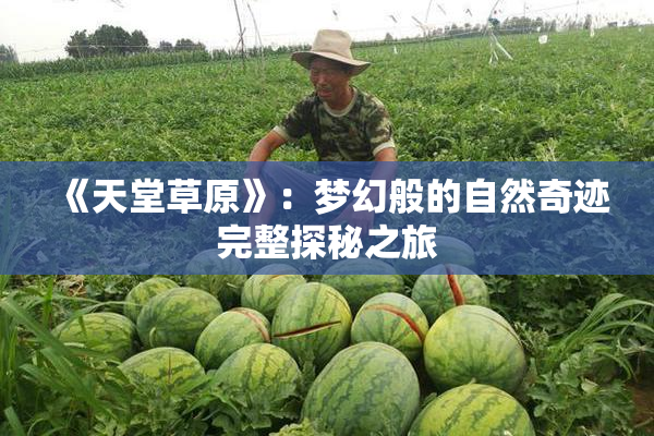 《天堂草原》：梦幻般的自然奇迹完整探秘之旅