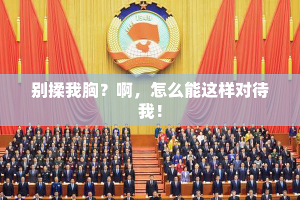 别揉我胸？啊，怎么能这样对待我！