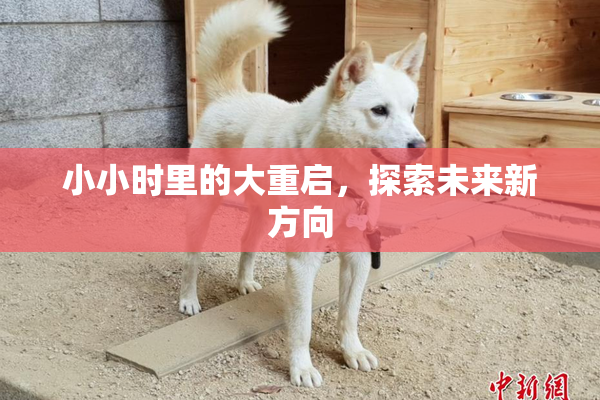 小小时里的大重启，探索未来新方向