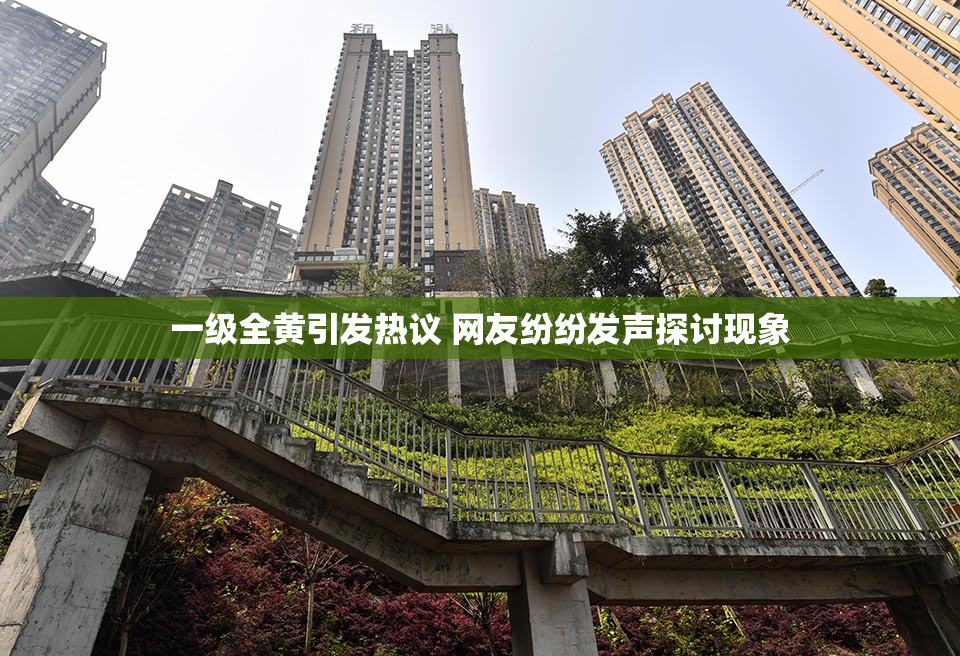 一级全黄引发热议 网友纷纷发声探讨现象