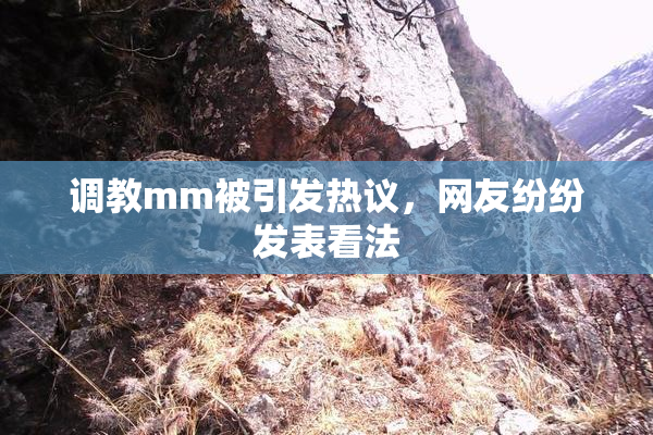调教mm被引发热议，网友纷纷发表看法