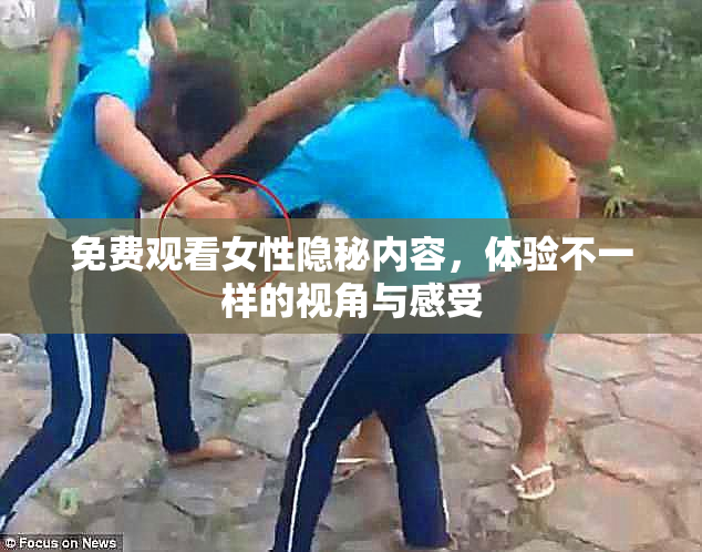 免费观看女性隐秘内容，体验不一样的视角与感受