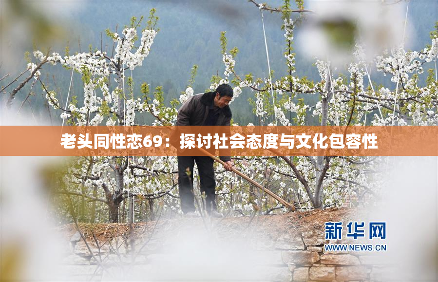 老头同性恋69：探讨社会态度与文化包容性