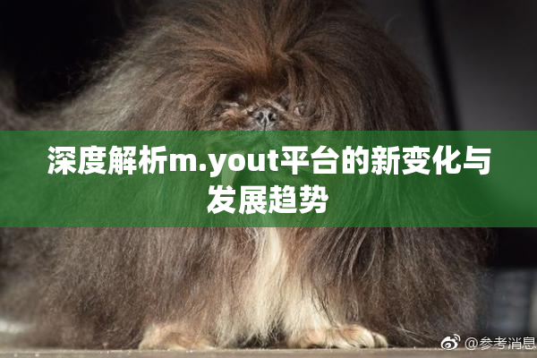 深度解析m.yout平台的新变化与发展趋势