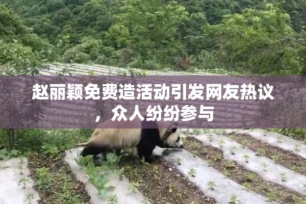 赵丽颖免费造活动引发网友热议，众人纷纷参与