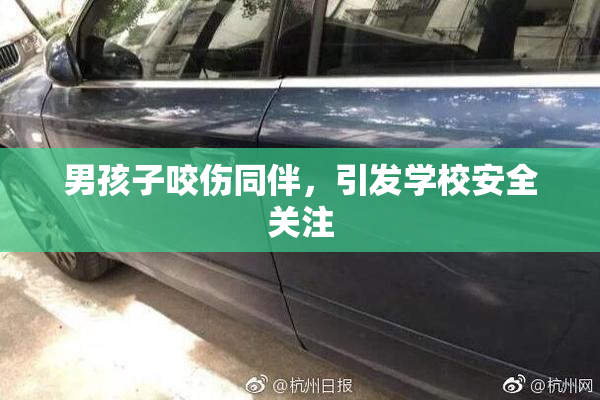 男孩子咬伤同伴，引发学校安全关注