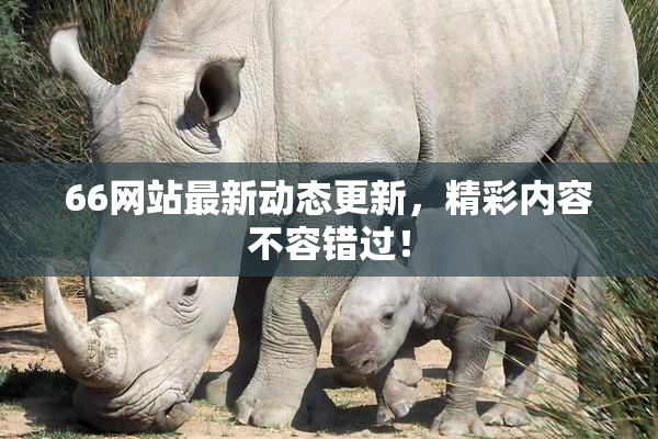 66网站最新动态更新，精彩内容不容错过！