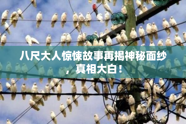 八尺大人惊悚故事再揭神秘面纱，真相大白！