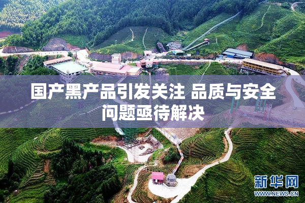 国产黑产品引发关注 品质与安全问题亟待解决