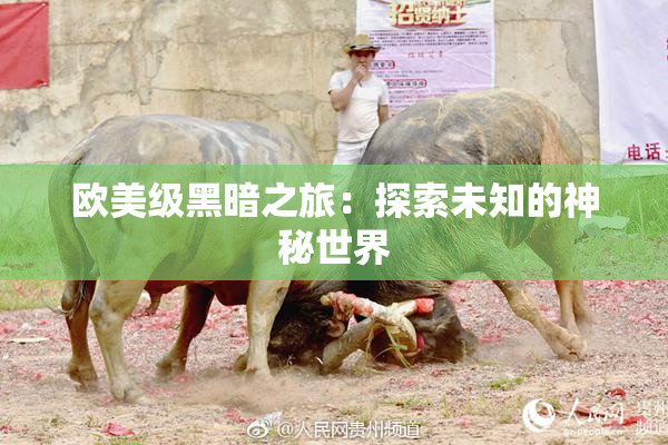 欧美级黑暗之旅：探索未知的神秘世界