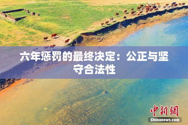 六年惩罚的最终决定：公正与坚守合法性