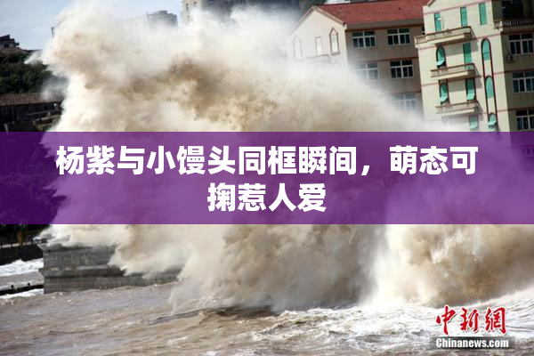 杨紫与小馒头同框瞬间，萌态可掬惹人爱