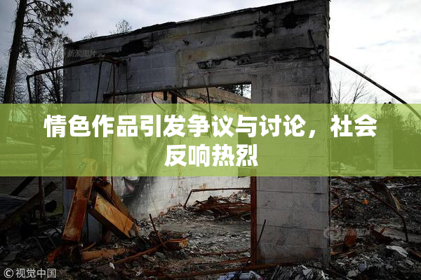 情色作品引发争议与讨论，社会反响热烈