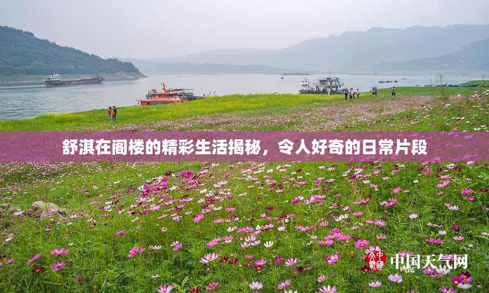 舒淇在阁楼的精彩生活揭秘，令人好奇的日常片段