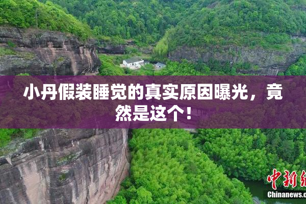 小丹假装睡觉的真实原因曝光，竟然是这个！