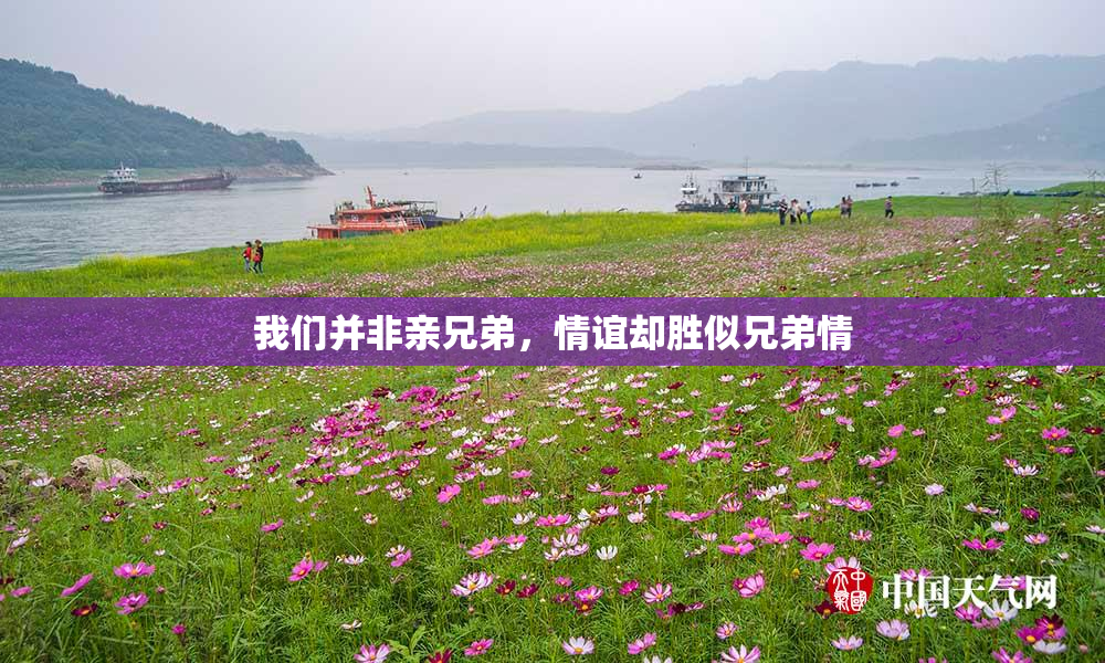 我们并非亲兄弟，情谊却胜似兄弟情