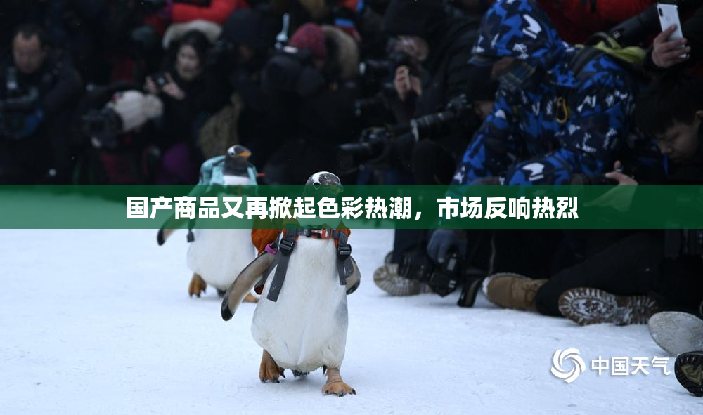 国产商品又再掀起色彩热潮，市场反响热烈