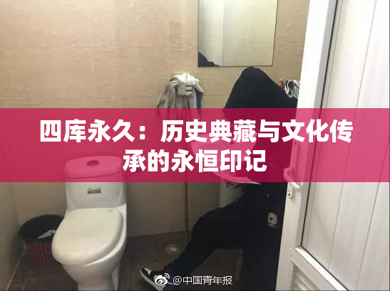 四库永久：历史典藏与文化传承的永恒印记