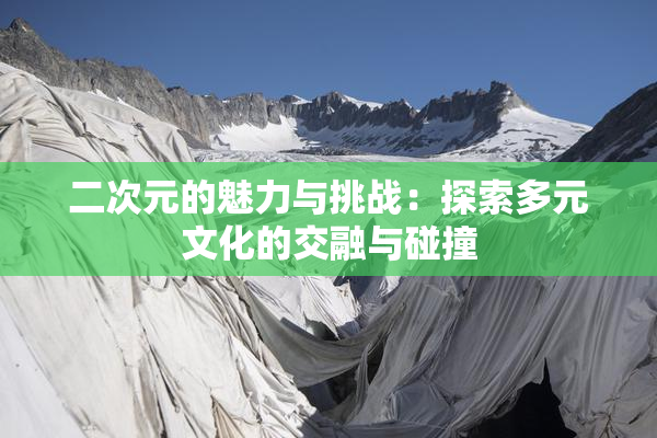 二次元的魅力与挑战：探索多元文化的交融与碰撞