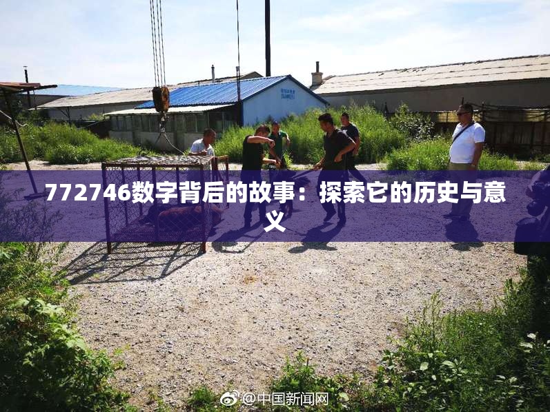 772746数字背后的故事：探索它的历史与意义