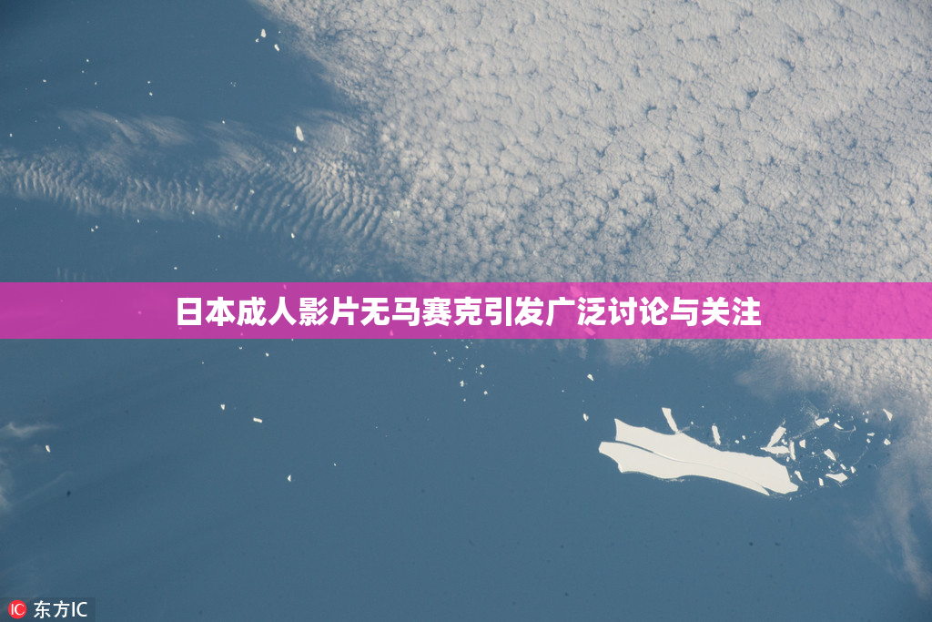 日本成人影片无马赛克引发广泛讨论与关注