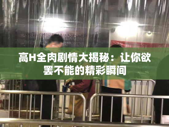 高H全肉剧情大揭秘：让你欲罢不能的精彩瞬间