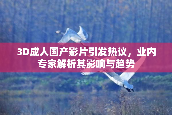 3D成人国产影片引发热议，业内专家解析其影响与趋势