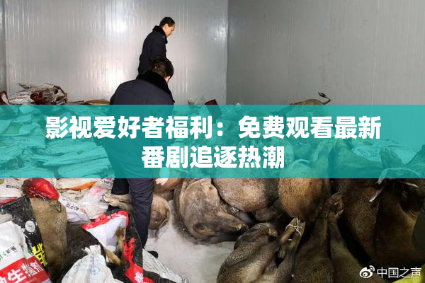 影视爱好者福利：免费观看最新番剧追逐热潮