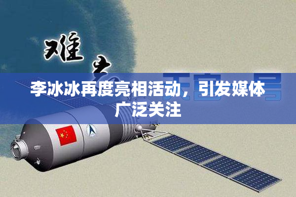 李冰冰再度亮相活动，引发媒体广泛关注