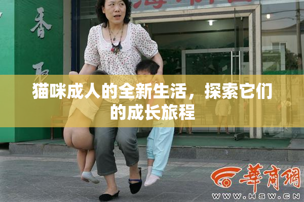 猫咪成人的全新生活，探索它们的成长旅程