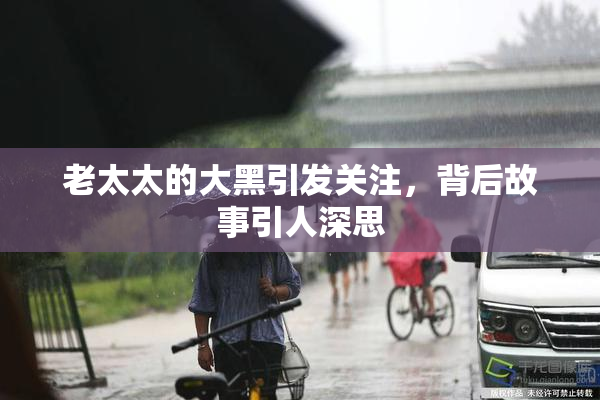 老太太的大黑引发关注，背后故事引人深思