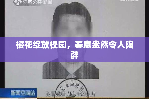 樱花绽放校园，春意盎然令人陶醉