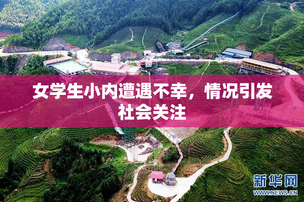 女学生小内遭遇不幸，情况引发社会关注