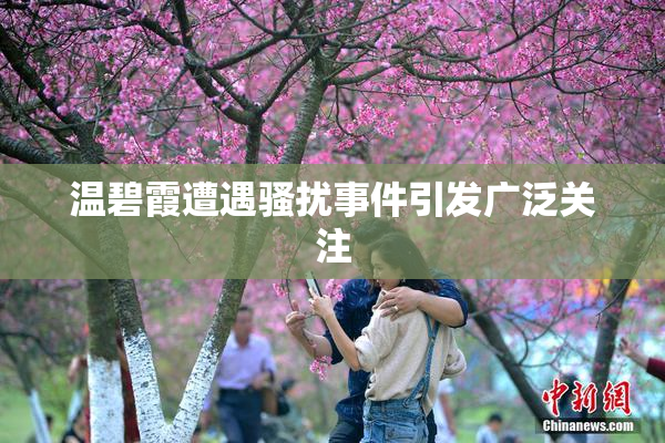 温碧霞遭遇骚扰事件引发广泛关注