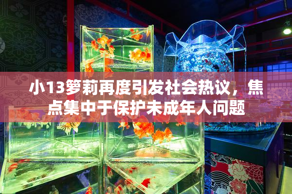 小13箩莉再度引发社会热议，焦点集中于保护未成年人问题
