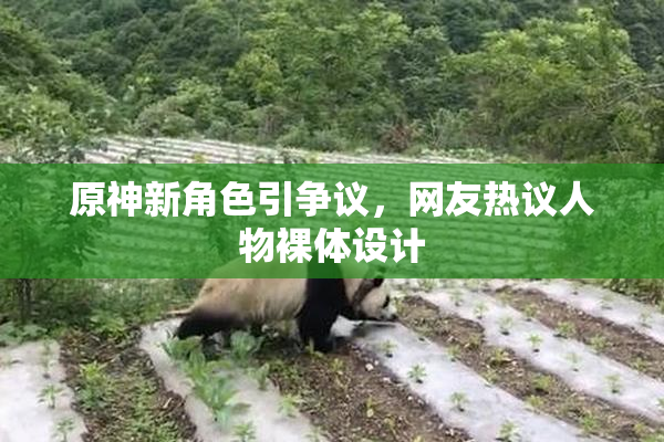原神新角色引争议，网友热议人物裸体设计