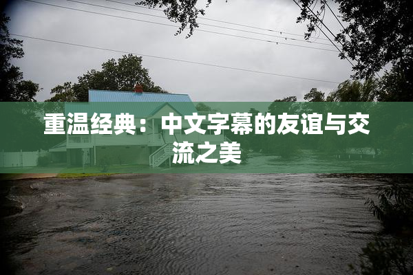 重温经典：中文字幕的友谊与交流之美