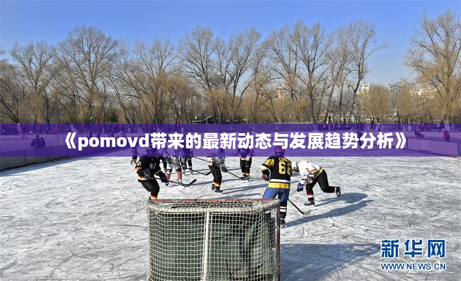 《pomovd带来的最新动态与发展趋势分析》