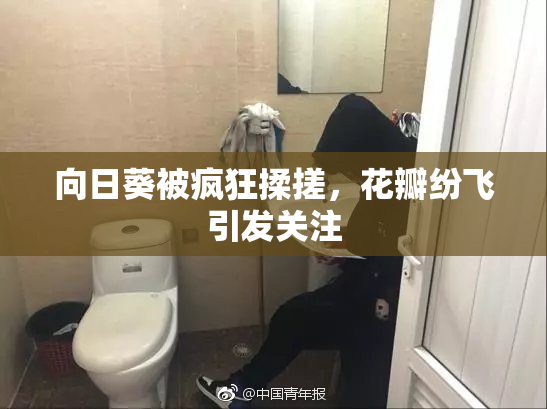 向日葵被疯狂揉搓，花瓣纷飞引发关注