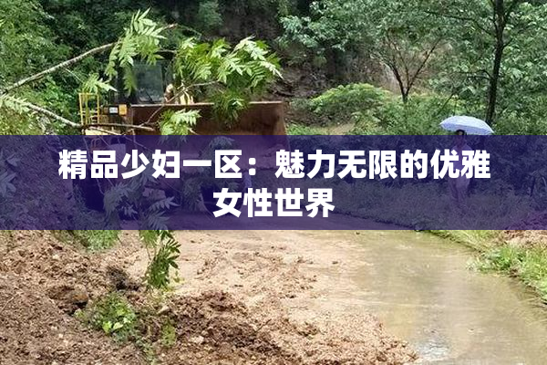 精品少妇一区：魅力无限的优雅女性世界
