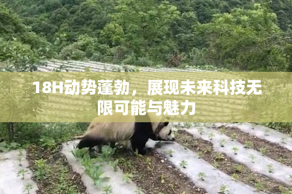 18H动势蓬勃，展现未来科技无限可能与魅力
